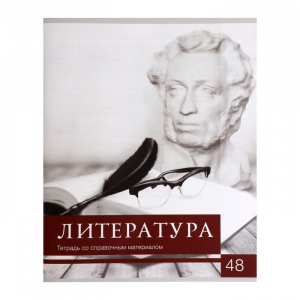 Тетрадь предметная, 48 листов линейку Calligrata, «Чёрное-белое. Литература», серые листы