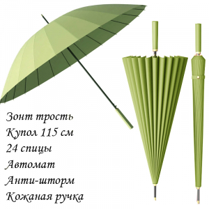 Umbr-L-605-Olive