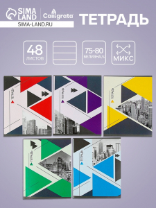 Тетрадь 48 листов в линейку, Calligrata «Мегаполис», серые листы, МИКС