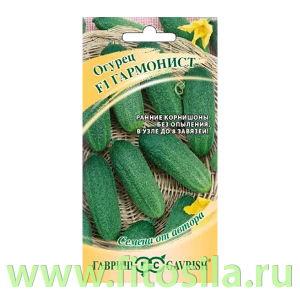 Огурец Гармонист F1 10 шт. корнишон автор. (семена для проращивания)
