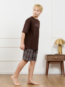 Костюм для мальчика Браун-2