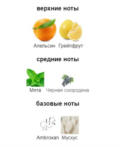 FRAGRANCE WORLD PINNACE edp 100ml цена за 5мл