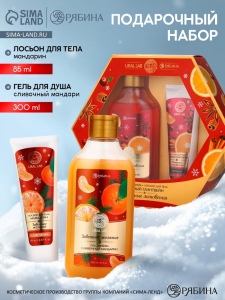 Подарочный набор новогодний «Уютные мгновения», гель для душа 300 мл и лосьон для тела 85 мл, URAL LAB