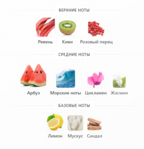 JACQUES ZOLTY OMBRELLA CRASH edp 100ml