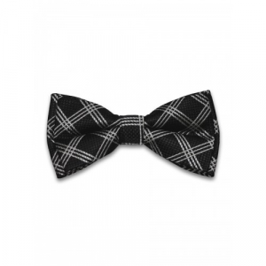 Бабочка Tsarevich 65