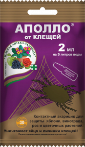 Аполло (от клеща до его появления)