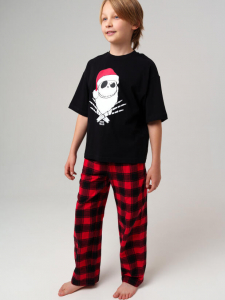 Комплект для мальчика: брюки, футболка