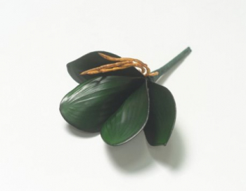 Искусственные цветы, Ветка в букете корень орхидеи (1010237) зеленый