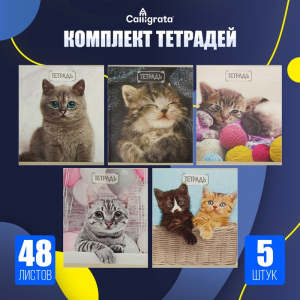 Набор тетрадей, 48 листов в клетку, Calligrata «Милые котята», серые листы, 5 штук