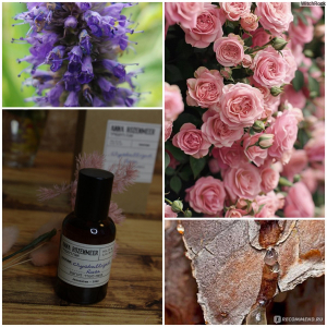 ANNA ROZENMEER CRYSTALLIZED ROSE 30ml parfume