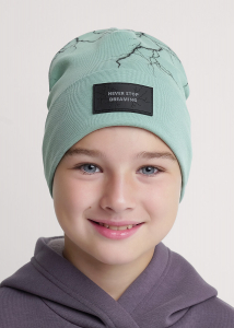 CLEVER Шапка