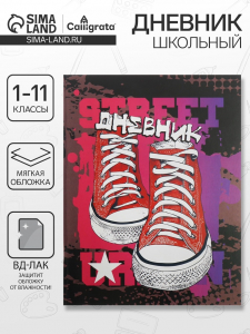 Дневник школьный для 1-11 классов, «Кеды», мягкая обложка, 40 листов