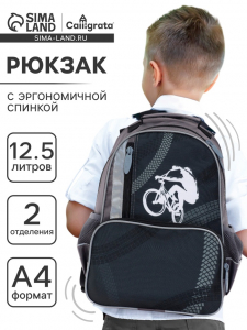 Рюкзак школьный, 37?26?13 см, эргономичная спинка, Calligrata TOP «Велосипед»