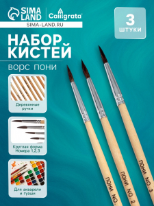 Набор кистей пони 3 штуки: № 1, 2, 3, круглые, с деревянными ручками, в блистере