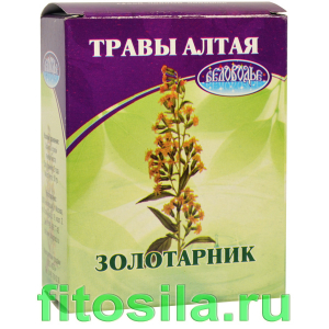 Золотая розга (золотарник), трава, 50 г, коробочка, чайный напиток