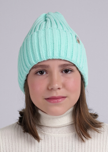 CLEVER Шапка 444144ап флис