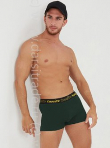 TS4402-2 Трусы мужские Tousite Дроп боксеры