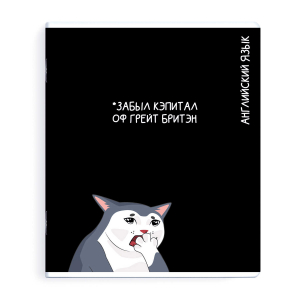 Тетрадь предметная арт. 69828/ АНГЛИЙСКИЙ ЯЗЫК /48 л., А5+, вн.блок - клетка, выборочный ТВИН УФ-лак,