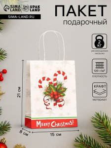 Пакет бумажный подарочный новогодний крафт «Новогодние леденцы» 120 г/м?, 15?8?21 см