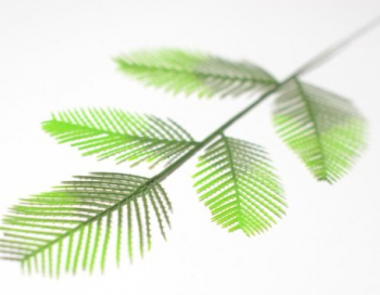 Искусственные цветы, Ветка - лист хвост павлина 5-ой (1010237)