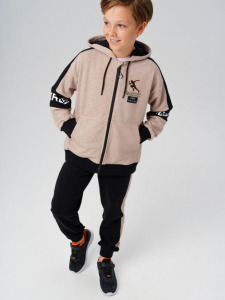 Комплект для мальчика: толстовка, брюки