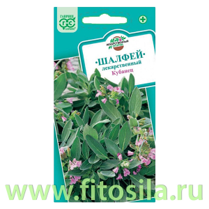 Шалфей лекарственный Кубанец 0,3 г (семена для проращивания)