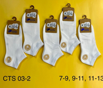 Носки детские унисекс  (5 пар) арт.CTS03-2(разм  7-9)