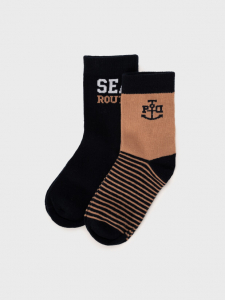 Носки для мальчика, 2 пары в комплекте