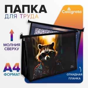 Папка д/труда А4 молния сверху пластик ПТР-22 Calligrata мал 