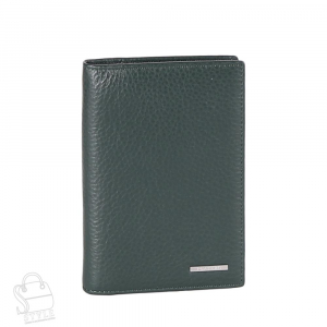 Обложка 21079G Pratero