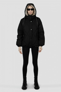 04-3208 Куртка женская демисезонная (Холлофайбер 180)