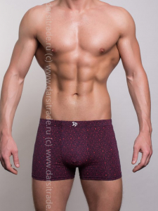 SD2041-2 Трусы мужские Salvador Dali Дроп боксеры