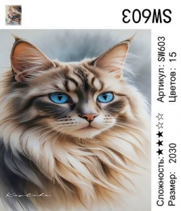 SW603 Под заказ