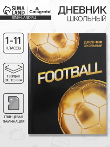 Дневник школьный для 1-11 классов, «Золотой мяч», твёрдая обложка 7БЦ, глянцевая ламинация, 40 листов