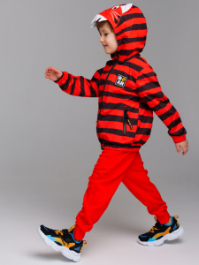 Ветровка для мальчика