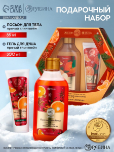 Подарочный набор новогодний «Заветное желание», гель для душа 300 мл и лосьон для тела 85 мл, URAL LAB