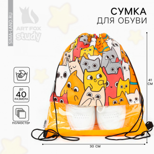 Мешок для обуви «Котики» с прозрачным окном 41?30 см