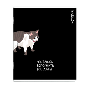 Тетрадь предметная арт. 69823/ ИСТОРИЯ /48 л., А5+, вн.блок - клетка, выборочный ТВИН УФ-лак,