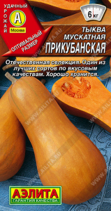 1028A Тыква мускатная Прикубанская 2гр