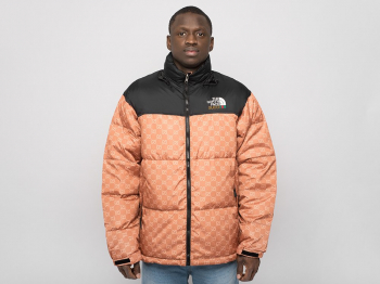 Куртка The North Face x Gucci