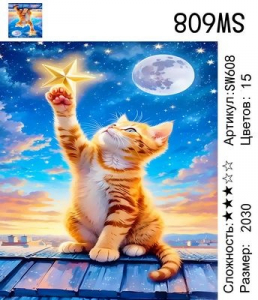 SW608 Под заказ