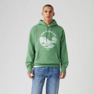 Standard Fit Graphic Hoodie Sweatshirt