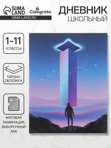 Дневник школьный для 1-11 классов «На грани», твёрдая обложка, матовая ламинация, выборочный лак, 40 листов
