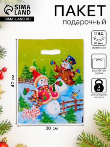 Пакет новогодний подарочный «Веселье», полиэтиленовый с вырубной ручкой, 40?30 см