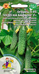 8016N Огурец Чудо на балкон Л 95 F1 6шт