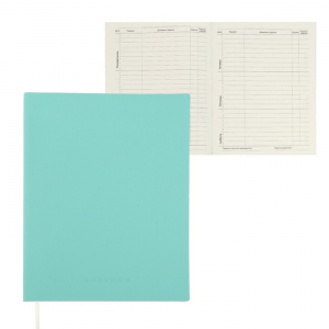Дневник школьный для 1-11 классов Minty soft touch, мягкая обложка, искусственная кожа, ляссе, 80 г/м?