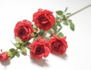 Искусственные цветы, Ветка розы 4 головы и 1 бутон (1010237)