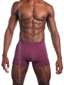 SG2941-2 Трусы мужские Дроп Sergio Dallini боксеры