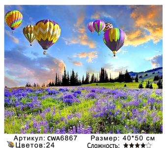 CWA6867 Под заказ