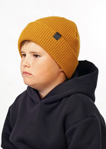 CLEVER Шапка 423559аш